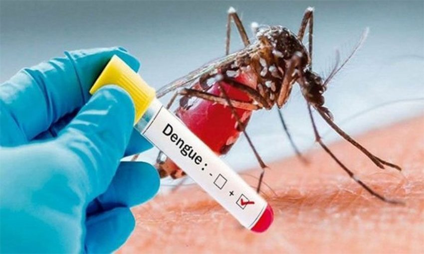 डेङ्गु नियन्त्रणका लागि पूर्वतयारी डेङ्गु नियन्त्रणका लागि पूर्वतयारी