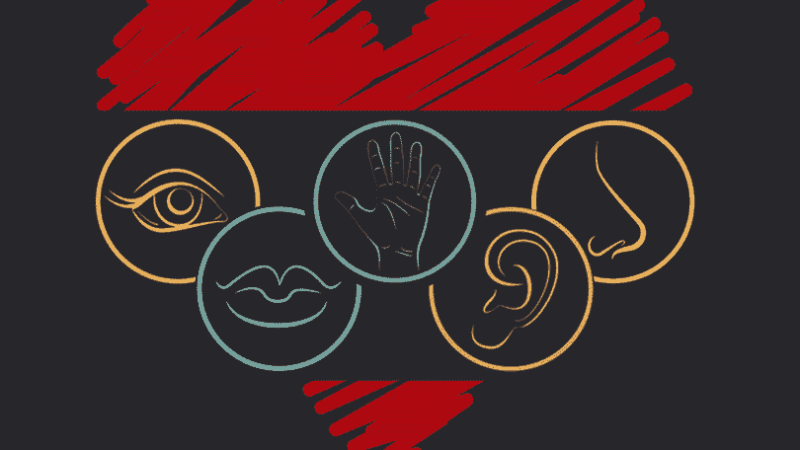 ५ अंगलाई मुटु भन्दा पहिले थाहा हुन्छ प्रेम ५ अंगलाई मुटु भन्दा पहिले थाहा हुन्छ प्रेम