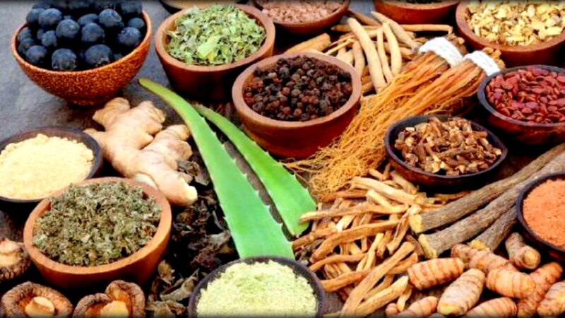 आयुर्वेद स्वास्थ्य केन्द्रको स्तरोन्नति हुँदै आयुर्वेद स्वास्थ्य केन्द्रको स्तरोन्नति हुँदै