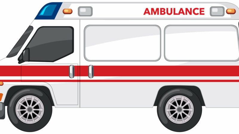 गर्भवती तथा सुत्केरीलाई निःशुल्क एम्बुलेन्स सेवा गर्भवती तथा सुत्केरीलाई निःशुल्क एम्बुलेन्स सेवा