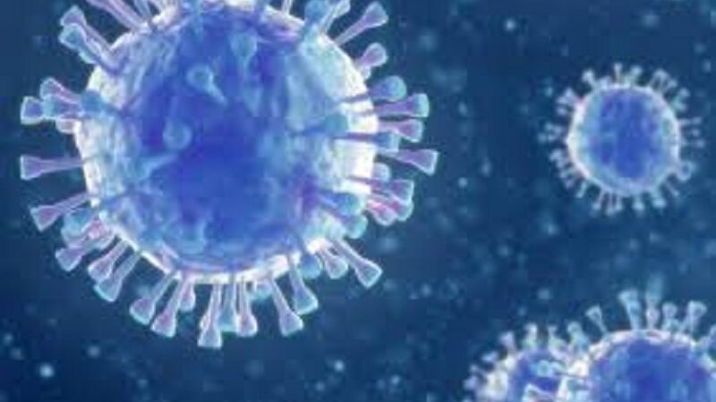 वीरगञ्ज नाकामा भेटिए नयाँ कोरोना सङ्क्रमित वीरगञ्ज नाकामा भेटिए नयाँ कोरोना सङ्क्रमित