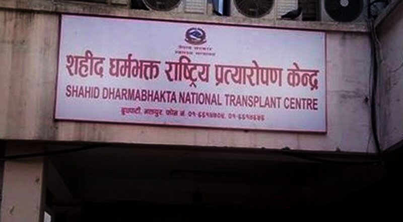 एक हजार दुई सय मिर्गौला प्रत्यारोपण सफल