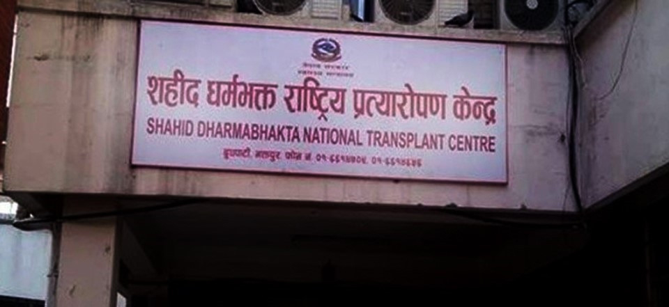 एक हजार दुई सय मिर्गौला प्रत्यारोपण सफल