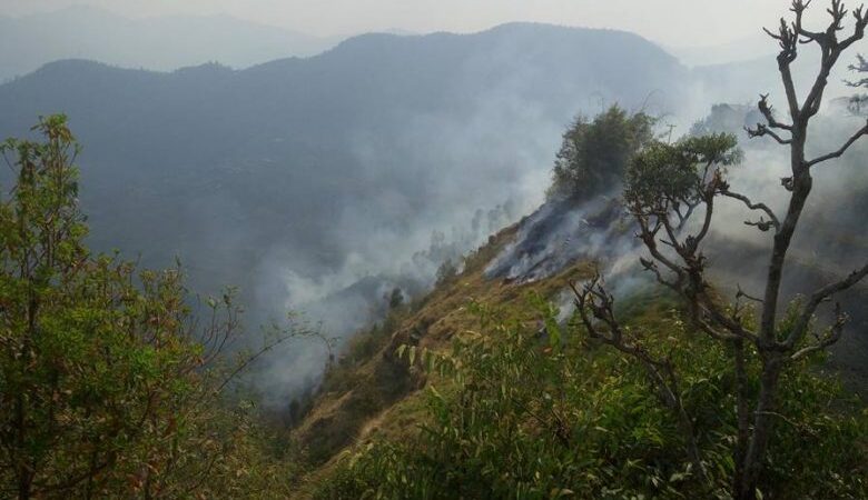 सिन्धुपाल्चोकको निम्डोल क्षेत्रमा भिषण आगलागीः चौंरी गोठका मानिस र चौपाया संकटमा सिन्धुपाल्चोकको निम्डोल क्षेत्रमा भिषण आगलागीः चौंरी गोठका मानिस र चौपाया संकटमा