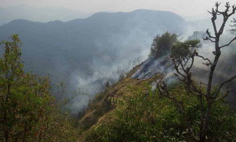 सिन्धुपाल्चोकको निम्डोल क्षेत्रमा भिषण आगलागीः चौंरी गोठका मानिस र चौपाया संकटमा सिन्धुपाल्चोकको निम्डोल क्षेत्रमा भिषण आगलागीः चौंरी गोठका मानिस र चौपाया संकटमा