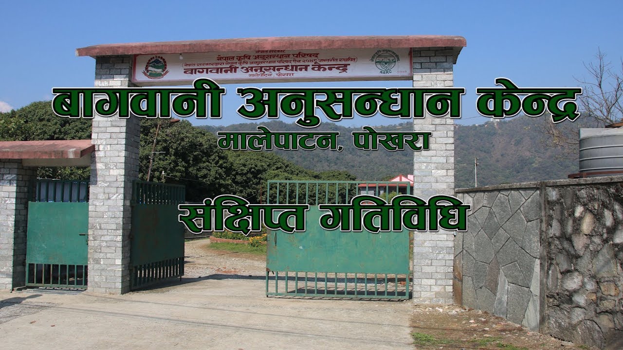 बागबानी अनुसन्धान केन्द्र, मालेपाटनबाट विकसित प्रविधिहरु बागबानी अनुसन्धान केन्द्र, मालेपाटनबाट विकसित प्रविधिहरु