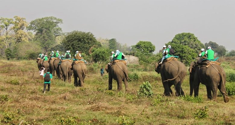 पर्सा राष्ट्रिय निकुञ्जमा पर्यटक आगमन वृद्धि पर्सा राष्ट्रिय निकुञ्जमा पर्यटक आगमन वृद्धि