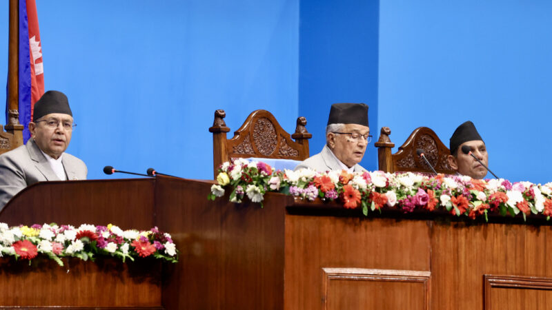 नीति तथा कार्यक्रम: बीमाको आर्थिक संकटसँग जुध्ने प्रयास