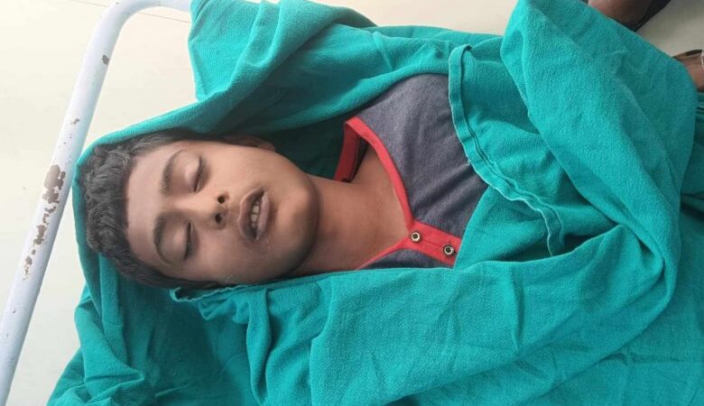 महोत्तरीमा सर्पको टोकाइले १७ वर्षीय कर्मचारीको मृत्यु