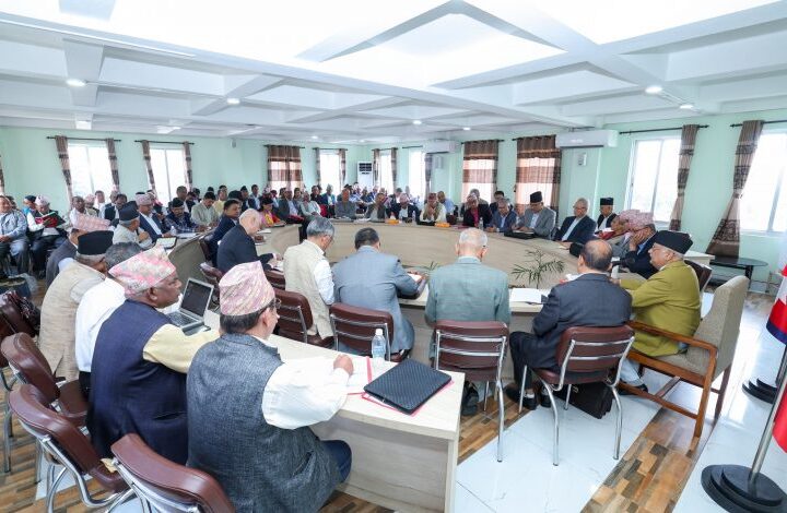 उपाध्यक्षको विधान संशोधन प्रस्तावमा छलफल
