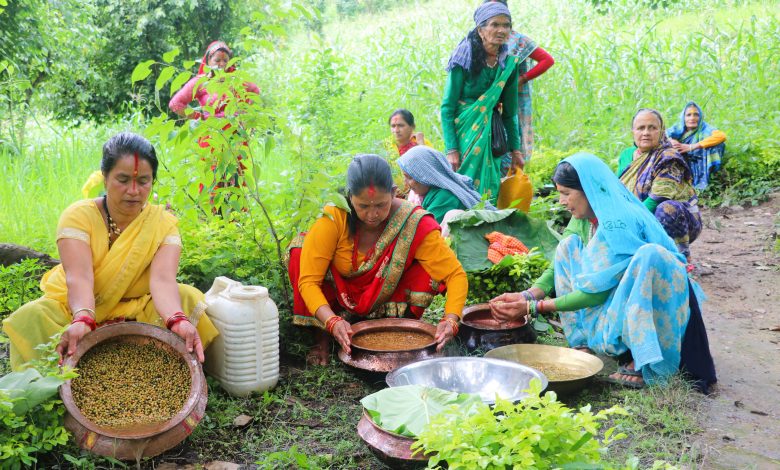 गौरा पर्वको दोस्रो दिन आज बिरुँडा धोएर मनाइँदै गौरा पर्वको दोस्रो दिन आज बिरुँडा धोएर मनाइँदै