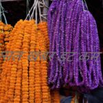 प्लास्टिकका फूल तथा मालाको बिक्री वितरणमा पोखरामा  रोक प्लास्टिकका फूल तथा मालाको बिक्री वितरणमा पोखरामा  रोक