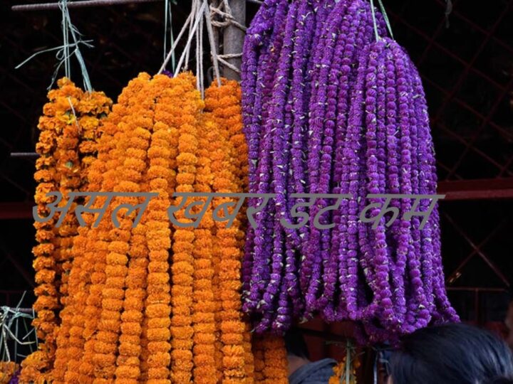 प्लास्टिकका फूल तथा मालाको बिक्री वितरणमा पोखरामा  रोक