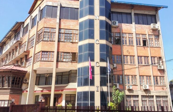 लुटपाट एवं आगजनीमा संलग्नलाई कारबाही र सुरक्षाको प्रत्याभूतिका लागि महासंघको आग्रह