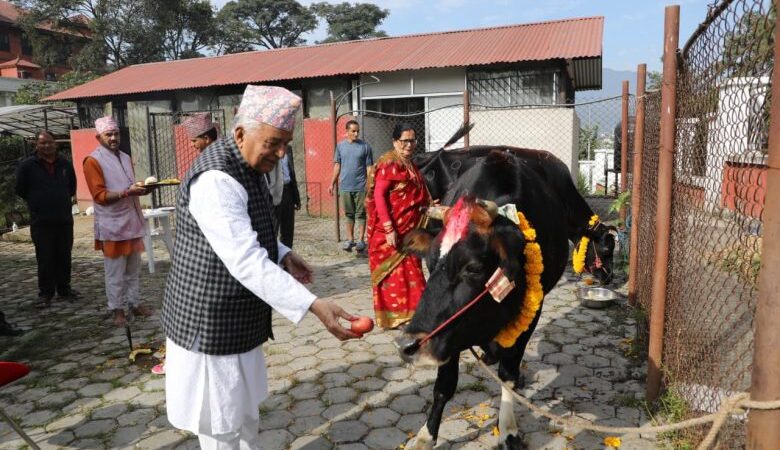 राष्ट्रपति पौडेलद्वारा गाई पूजा