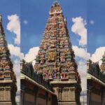 नलिनिकान्तका ‘हेरिटेज इन्डिया’ काठमाडौँमा प्रदर्शन