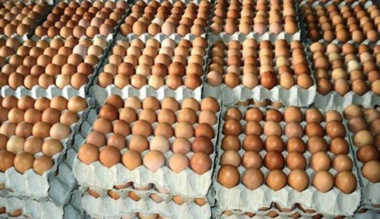 ‘अण्डा’को लागत मूल्य बढ्यो