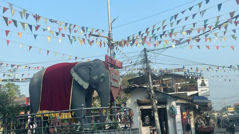 सौराहामा आजदेखि हात्ती तथा पर्यटन महोत्सव सुरु