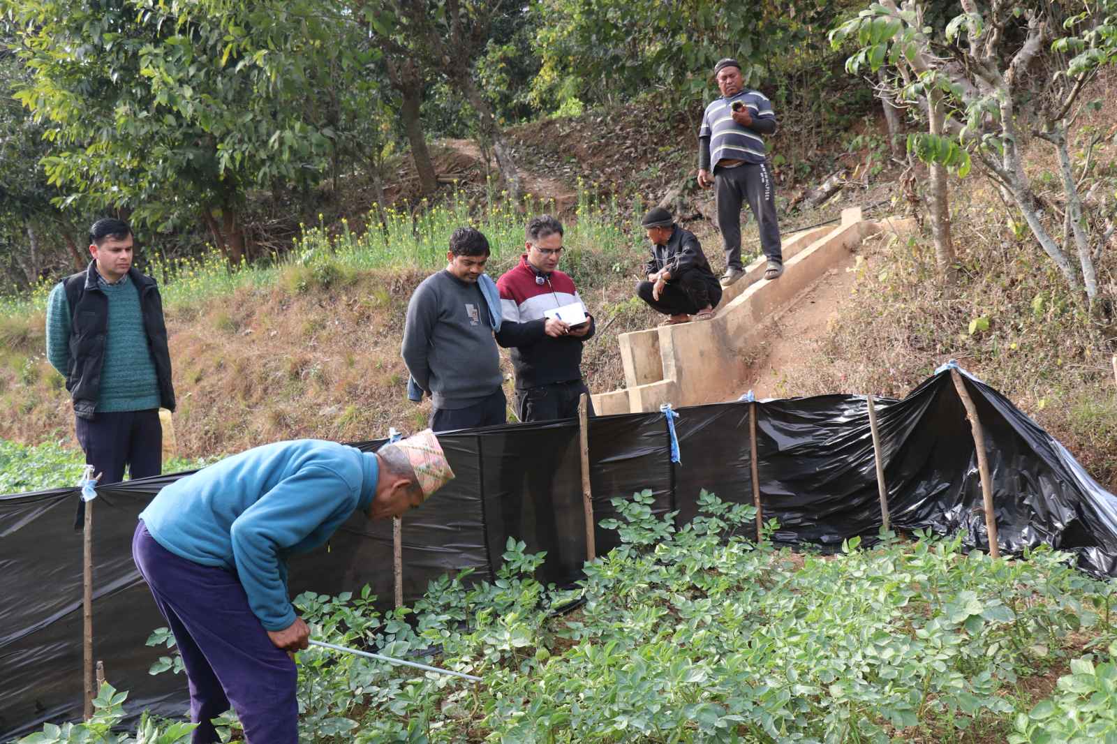 टोकनचौरमा कृषि क्रान्ति: अनुसन्धान केन्द्रको प्रविधिले फेरिँदै मगर बस्तीको मुहार