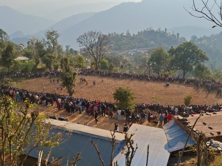 नुवाकोटको तारुकालगायत विभिन्न ठाउँमा गोरु जुधाउने मेला सम्पन्न