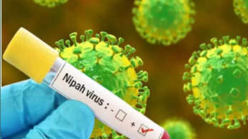 नेपालमा निपाह भाइरसको जोखिम : मन्त्रालयले जारी गर्‍यो ‘हाई अलर्ट’