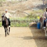 चलचित्र विकास बोर्डद्वारा एकहप्ते घोडचढी तालिम सञ्चालन