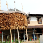 सिक्लेसमा संरक्षण र समृद्धिको नयाँ मोडेलमा ACAP