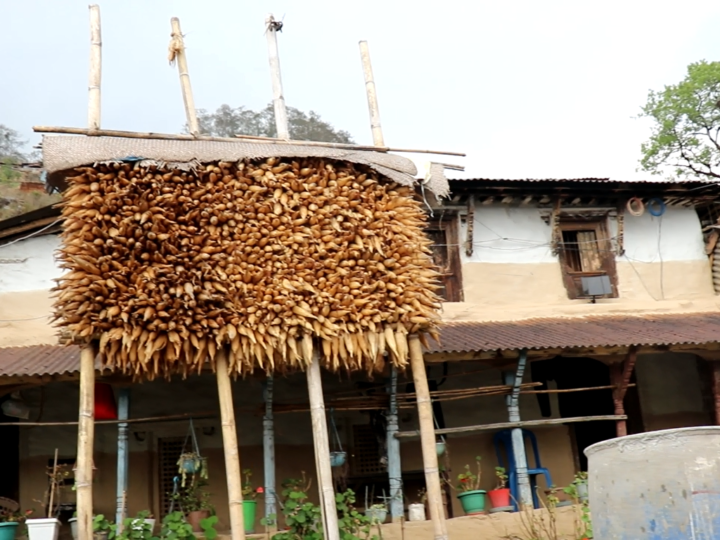 सिक्लेसमा संरक्षण र समृद्धिको नयाँ मोडेलमा ACAP