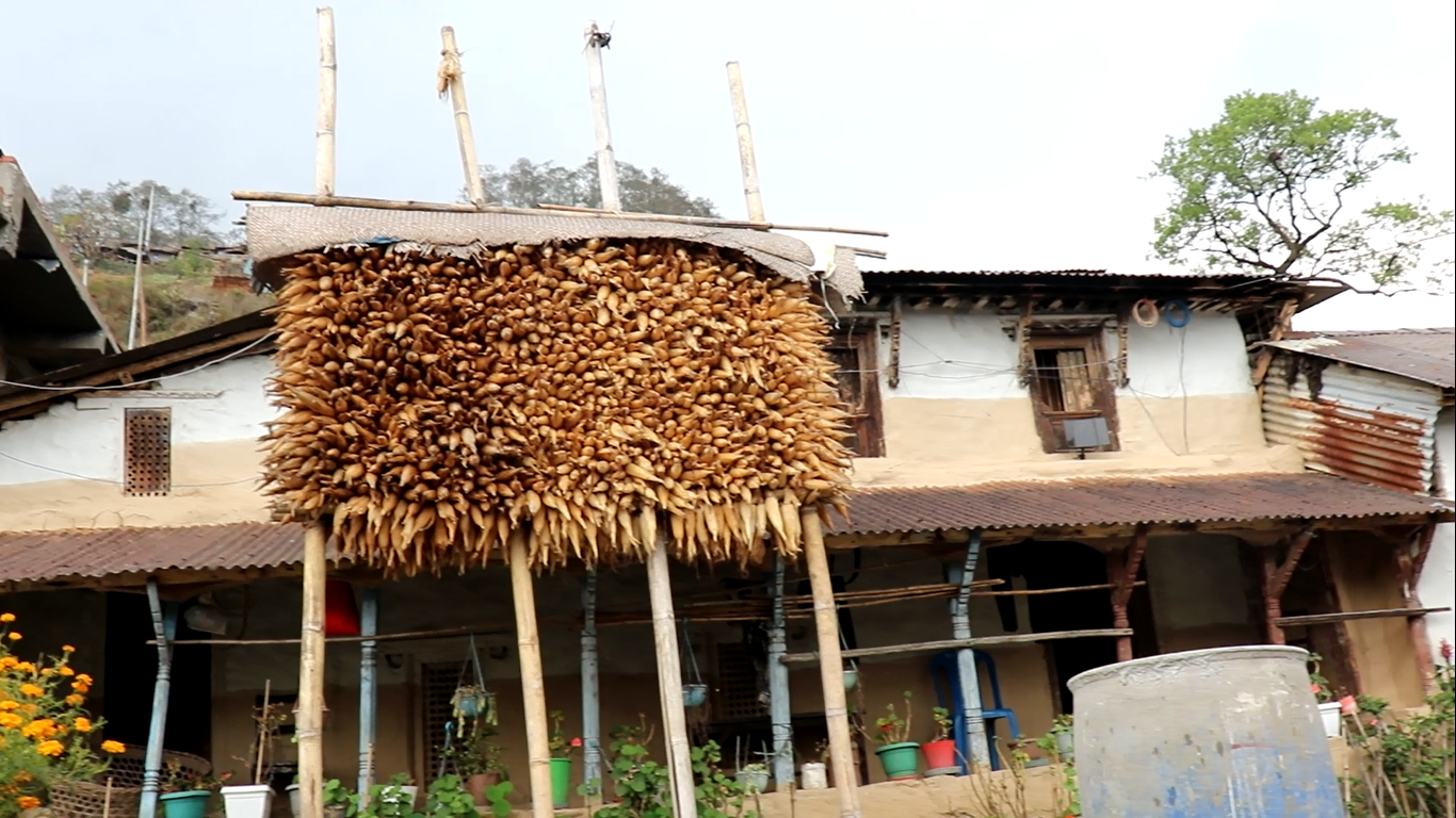 सिक्लेसमा संरक्षण र समृद्धिको नयाँ मोडेलमा ACAP