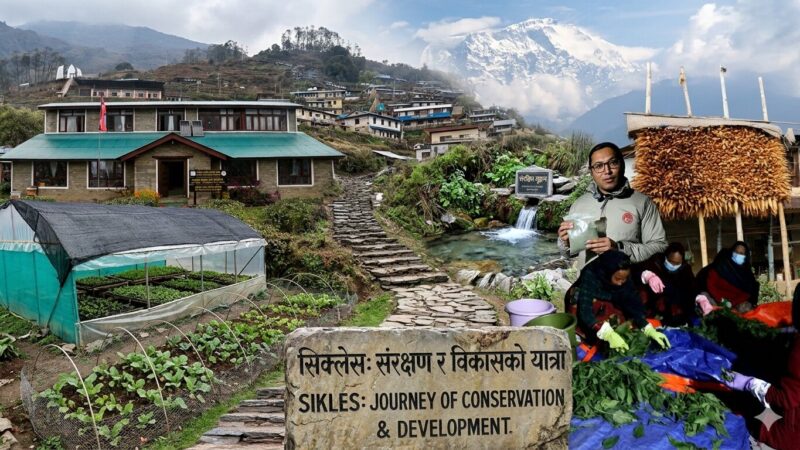 सिक्लेसमा संरक्षण र समृद्धिको नयाँ मोडेलमा ACAP सिक्लेसमा संरक्षण र समृद्धिको नयाँ मोडेलमा ACAP