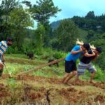 दाईभाईको कथा चलचित्र ‘हामी तीन भाई’ को टिजर सार्वजनिक