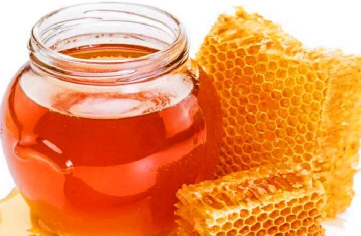 तनहुँको मह विश्वबजारमा, किसान उत्साहित