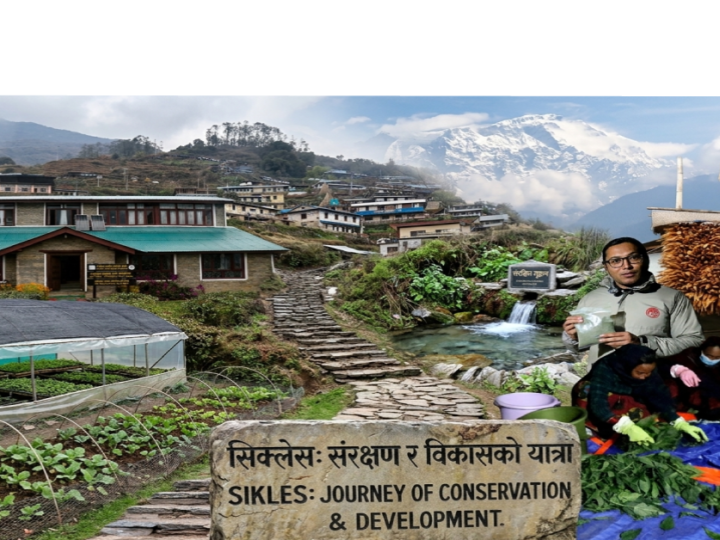 सिक्लेसमा संरक्षण र समृद्धिको नयाँ मोडेलमा ACAP