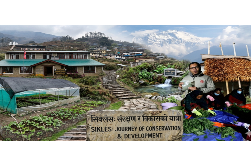 सिक्लेसमा संरक्षण र समृद्धिको नयाँ मोडेलमा ACAP