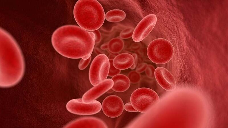 दुई सय तेइस जनामा ‘सिकलसेल एनिमिया’ « रिपोर्टर्स नेपाल