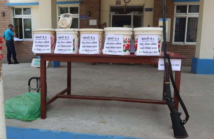 ५१ किलो अफिमसहित १ जना पक्राउ