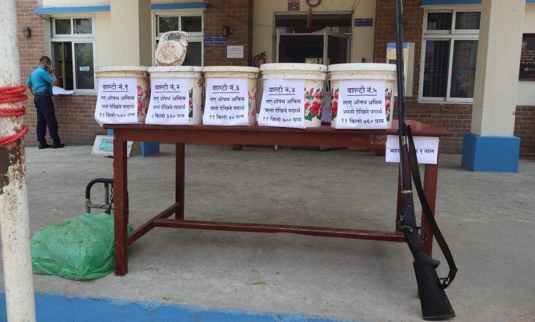 ५१ किलो अफिमसहित १ जना पक्राउ