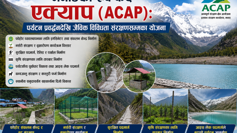 मनाङमा संरक्षण र पर्यटन प्रवर्द्धनका विविध कार्यक्रम : ACAP र स्थानीयको सहकार्यमा विकास