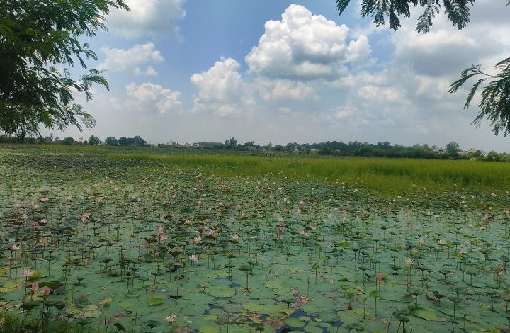 संरक्षणको अभावमा जीर्ण बन्दै कान्तिताल