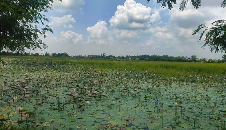 संरक्षणको अभावमा जीर्ण बन्दै कान्तिताल