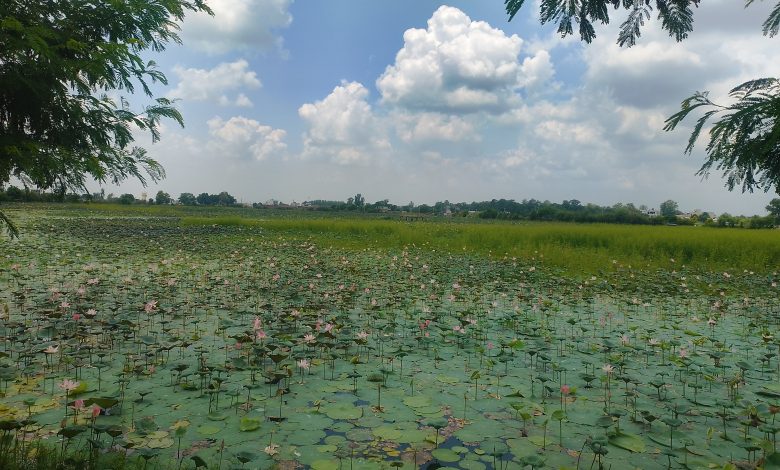 संरक्षणको अभावमा जीर्ण बन्दै कान्तिताल