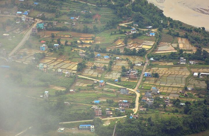 मधेशमा ९१ दशमलव ५५ प्रतिशतमा क्षेत्रफलमा रोपाइँ सम्पन्न
