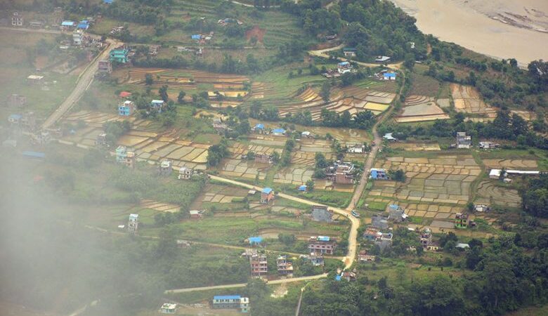 मधेशमा ९१ दशमलव ५५ प्रतिशतमा क्षेत्रफलमा रोपाइँ सम्पन्न