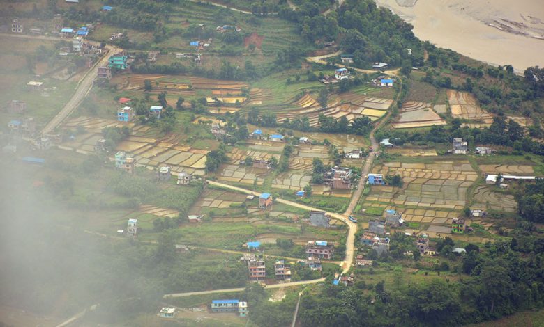 मधेशमा ९१ दशमलव ५५ प्रतिशतमा क्षेत्रफलमा रोपाइँ सम्पन्न