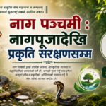 नाग पञ्चमी : धर्म, संस्कृति र प्रकृतिसँग जोडिएको पर्व