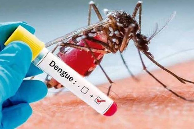 काभ्रेपलाञ्चोकमा दुई महिनामा ४१ जनामा डेङ्गी सङ्क्रमण पुष्टि