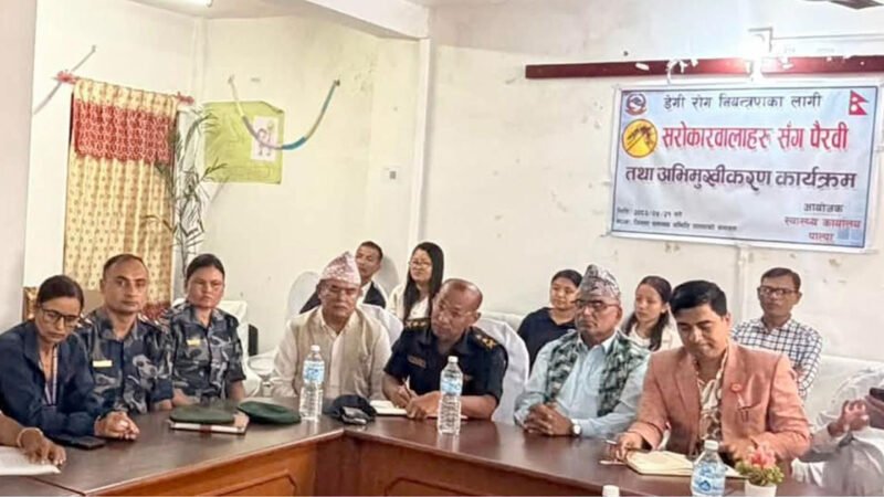 पाल्पामा २५५ जनामा डेङ्गु सङ्क्रमण पुष्टि