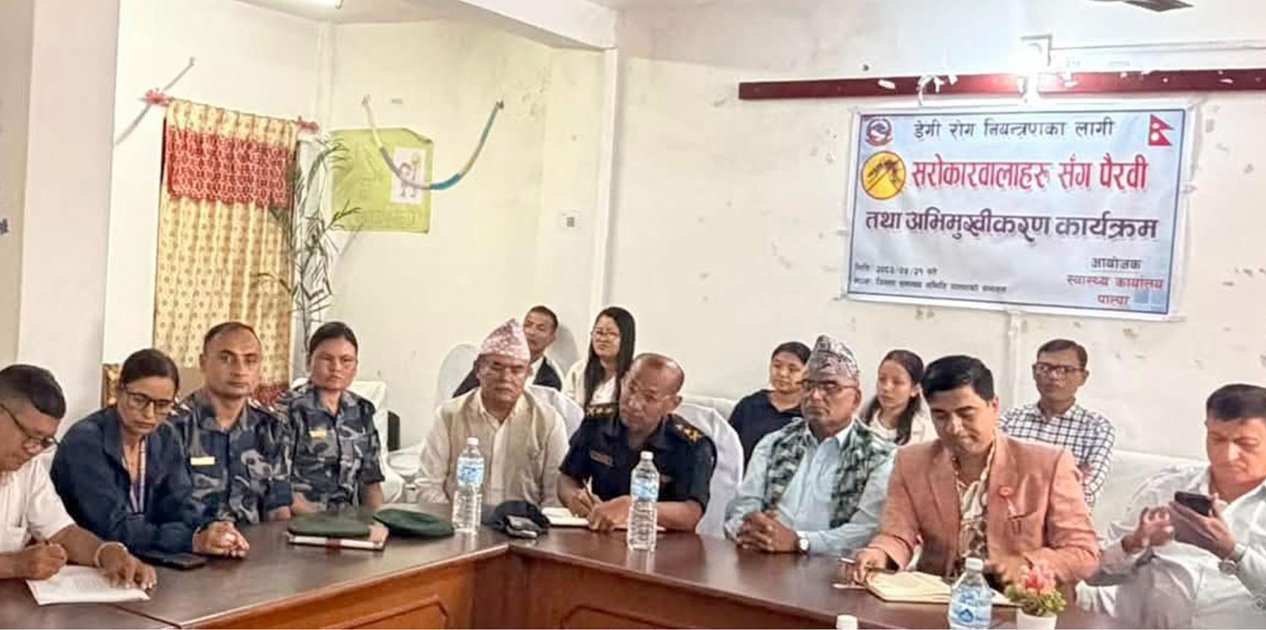 पाल्पामा २५५ जनामा डेङ्गु सङ्क्रमण पुष्टि