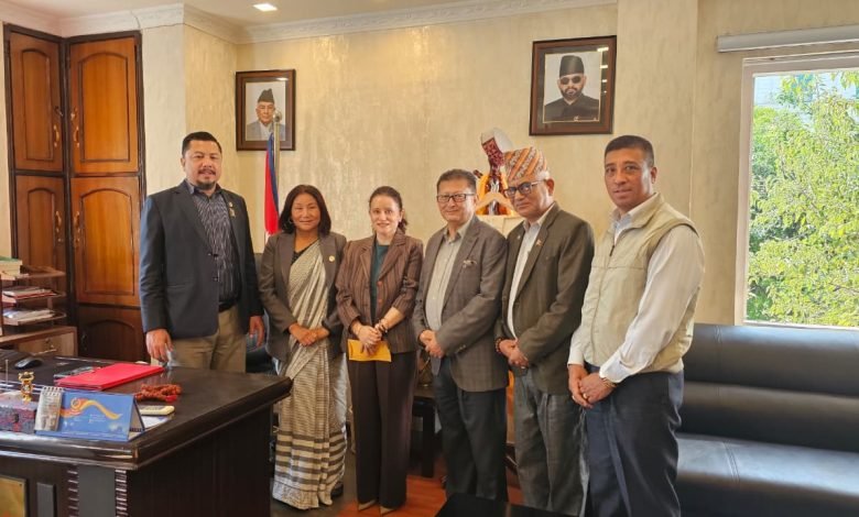 बाढी प्रभावितलाई आईएसटी कलेजको सहयोग 